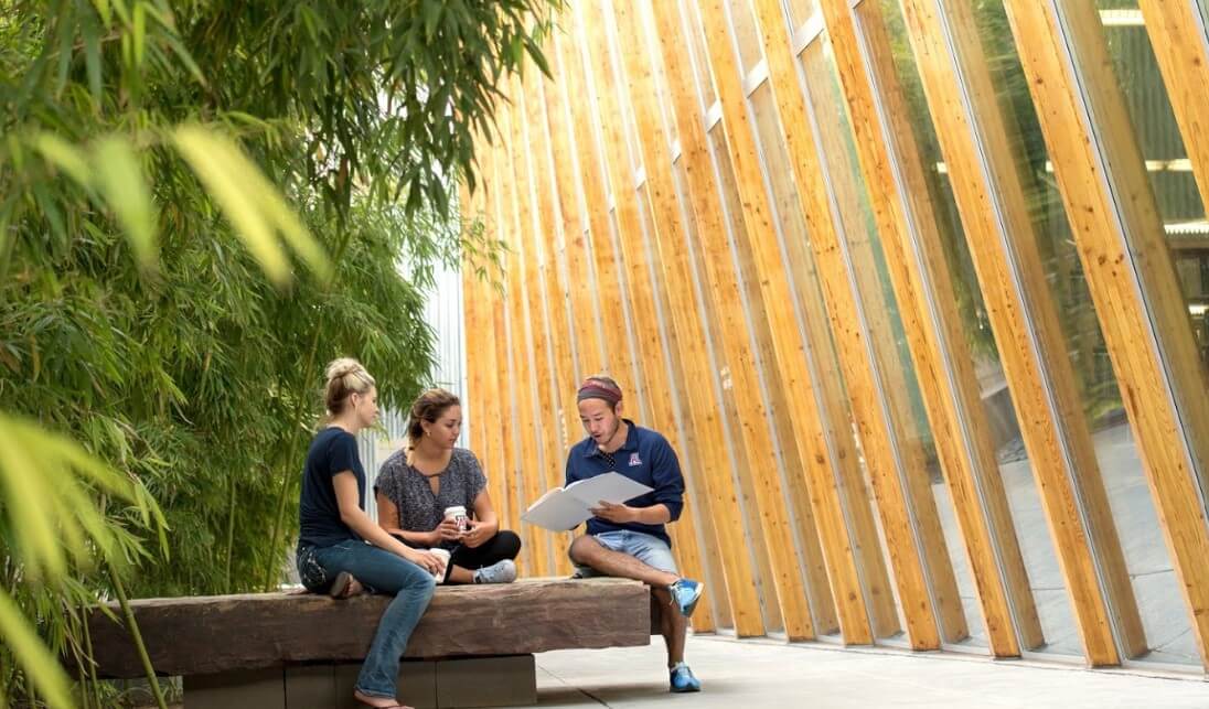 University of Arizona kampüsünden görsel 4
