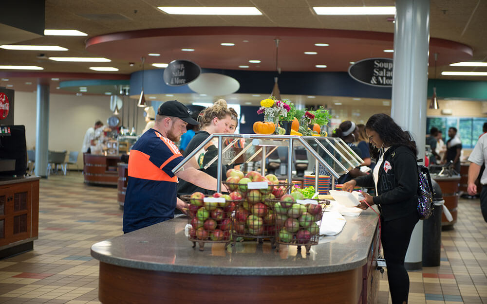 Illinois State University kampüsünden görsel 4