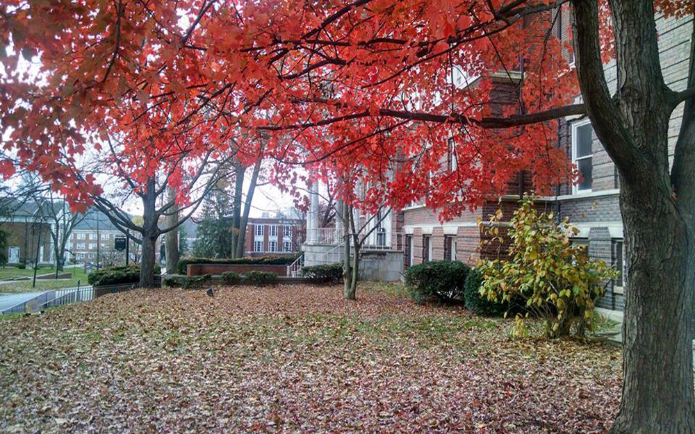Ohio University kampüsünden görsel 4