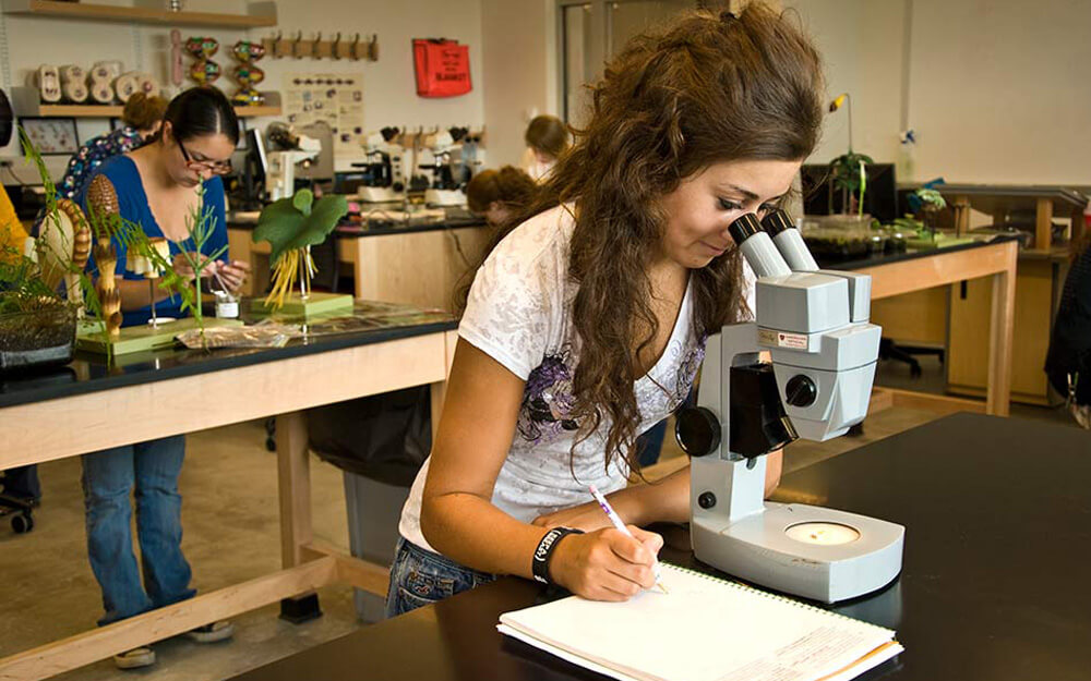 Pierce College kampüsünden görsel 3