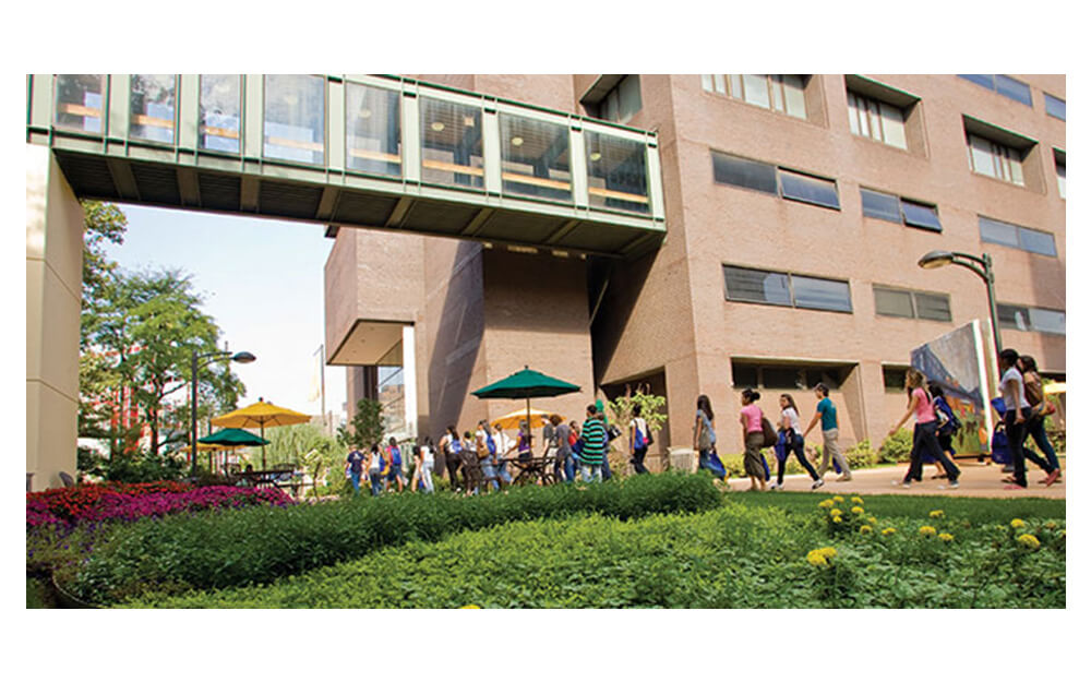 Long Island University, Brooklyn kampüsünden görsel 1