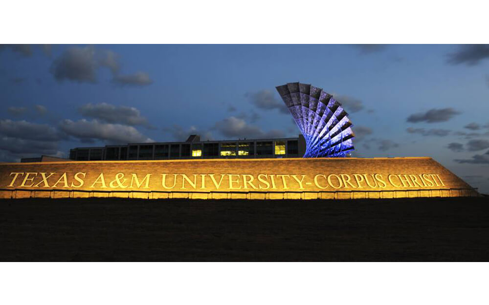 Texas A&M University Corpus Christi kampüsünden görsel 2