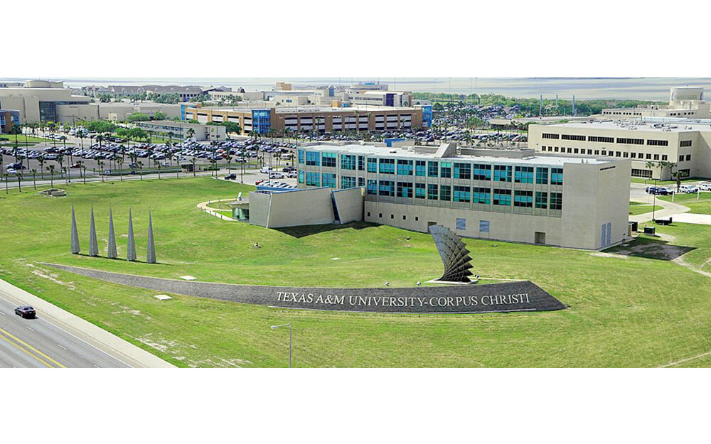 Texas A&M University Corpus Christi kampüsünden görsel 3
