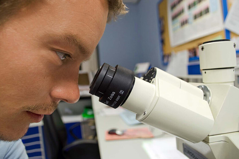 Groningen Üniversitesi kampüsünden görsel 3