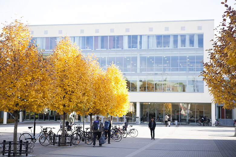 University West kampüsünden görsel 4