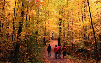 Toronto Yaşam Masrafları Toronto Yaşam Masrafları